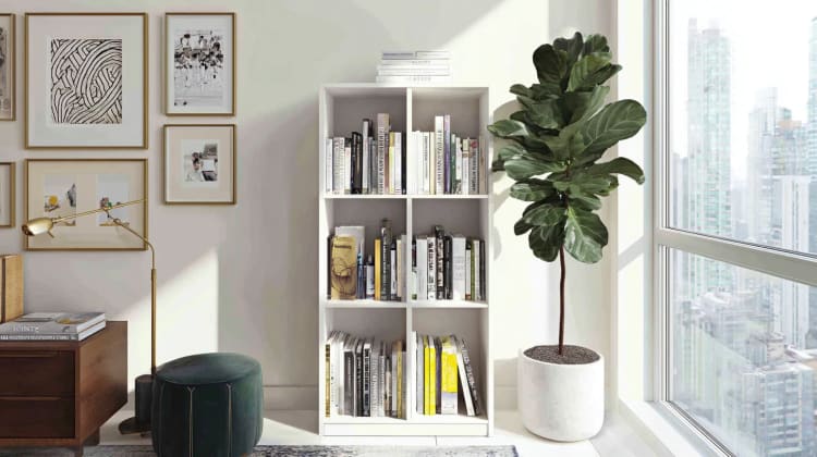 Bright bookshelves background