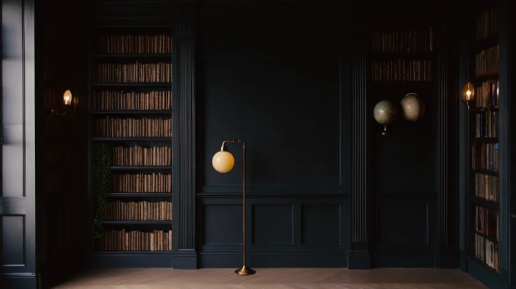 Bookshelves dark background