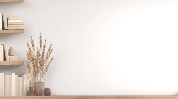 Bright wall shelf background