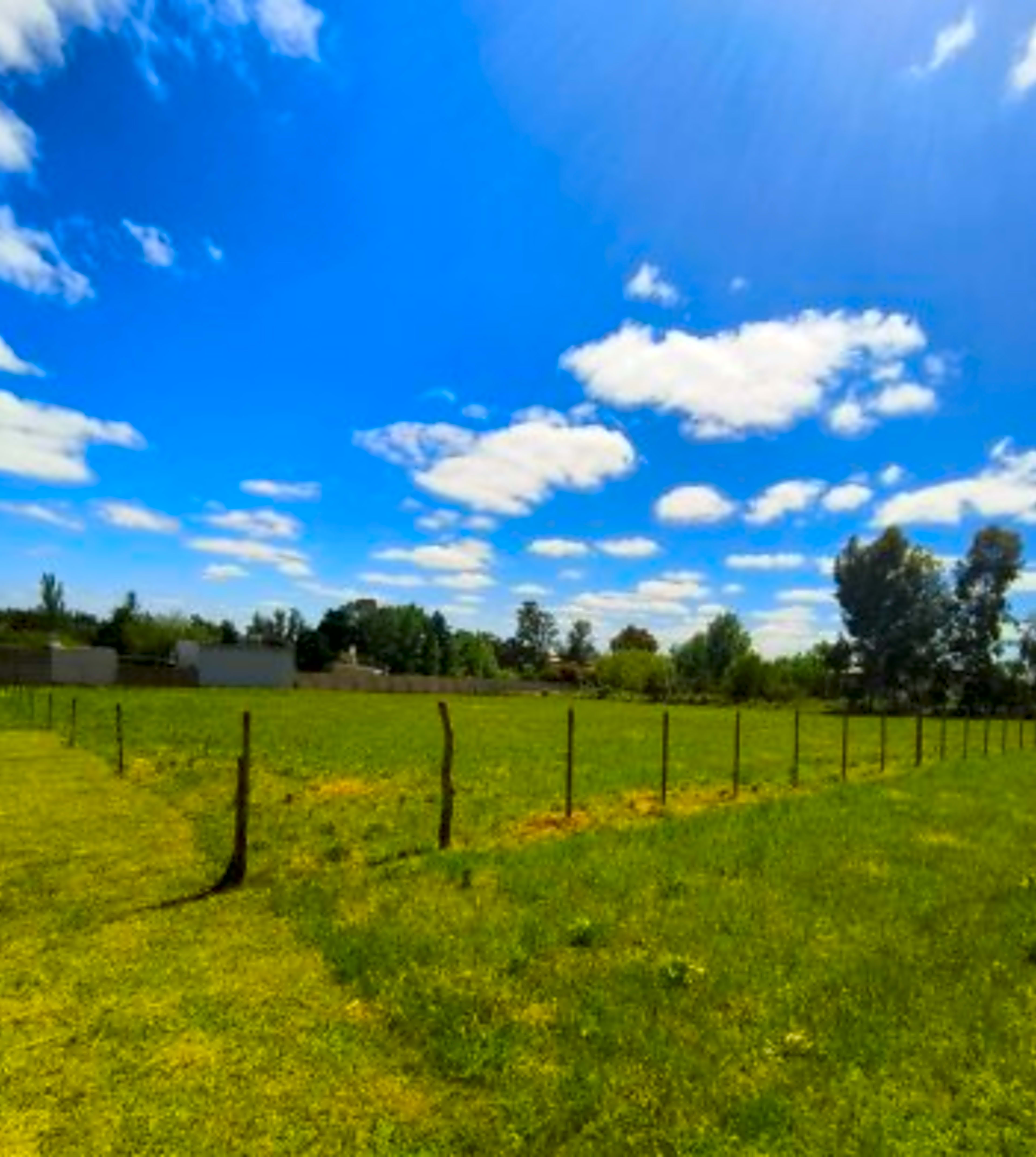 Propiedad en Tandil - Foto 4
