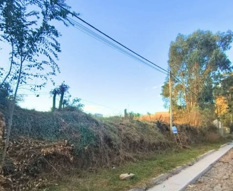 Propiedad en Tandil - Foto 5