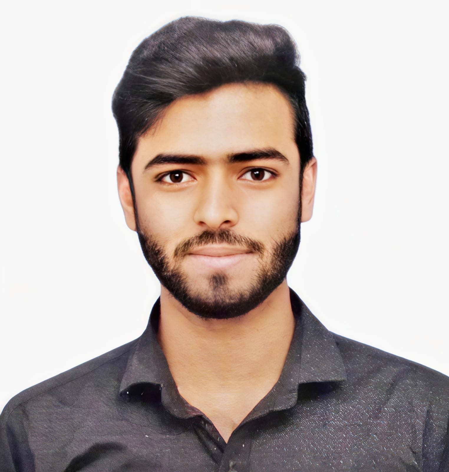 Lead Designer
