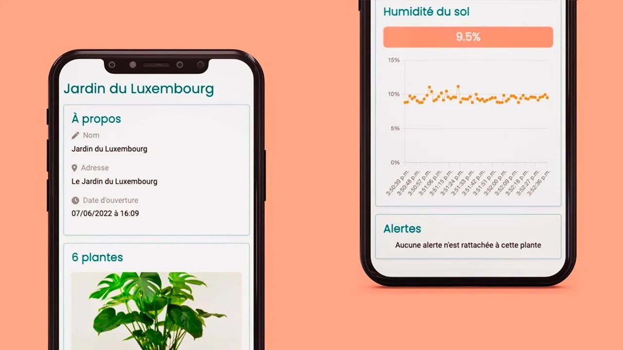 mygrowbox.fr - image 4