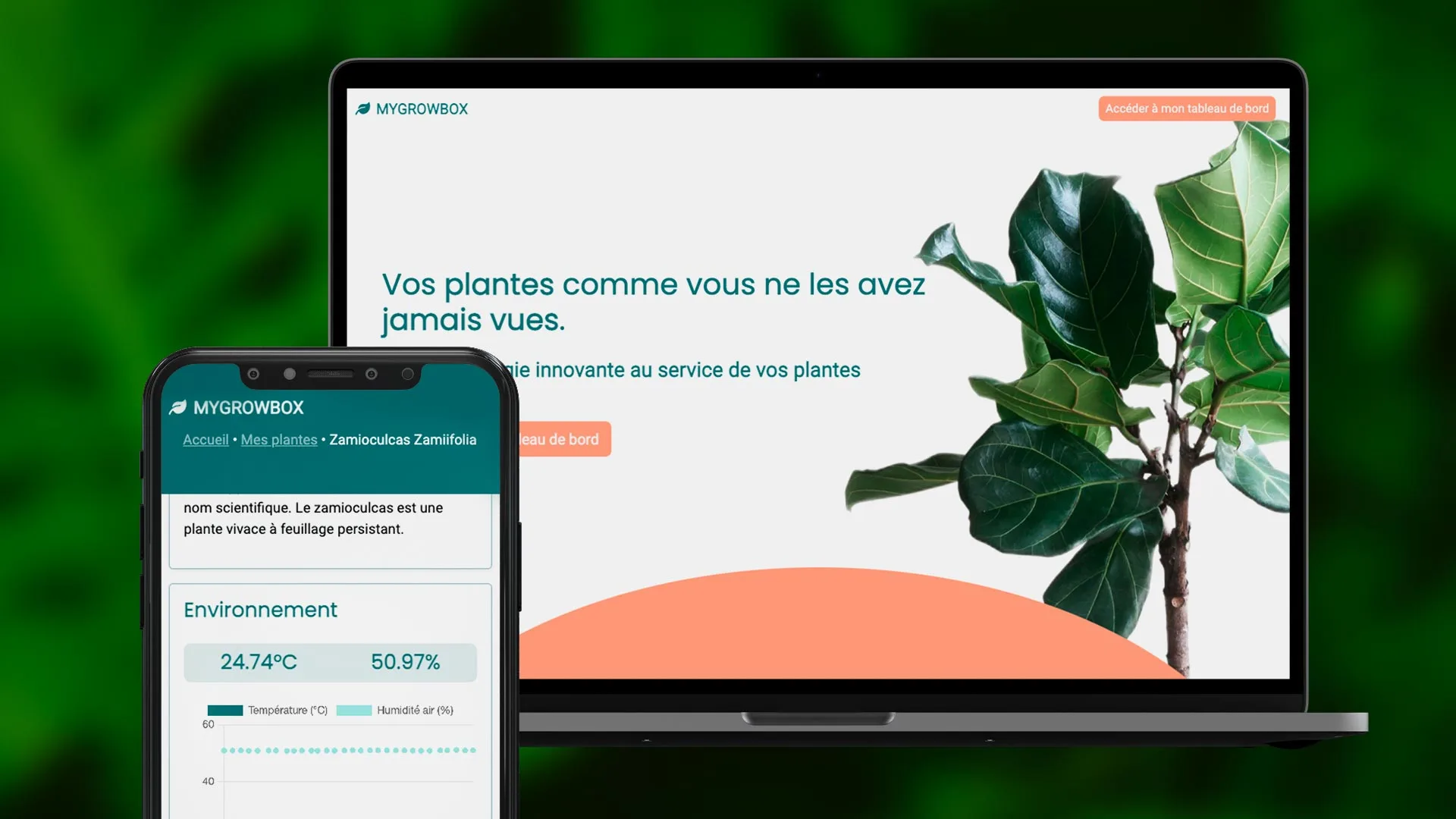 Bannière mygrowbox.fr