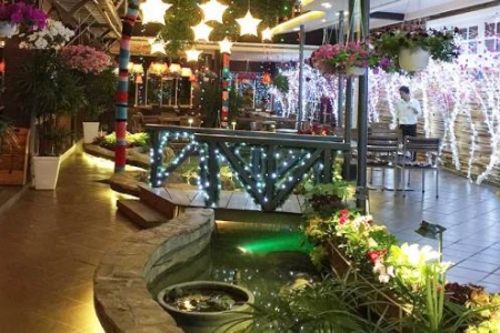 Phong Lữ Thảo Cafe - Nguyễn Đình Chiểu