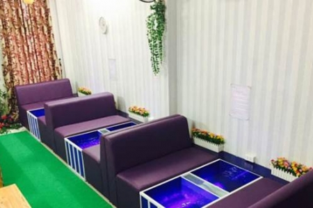 Thiên Nga Quán - Cá Massage Cafe - 2 Tháng 9