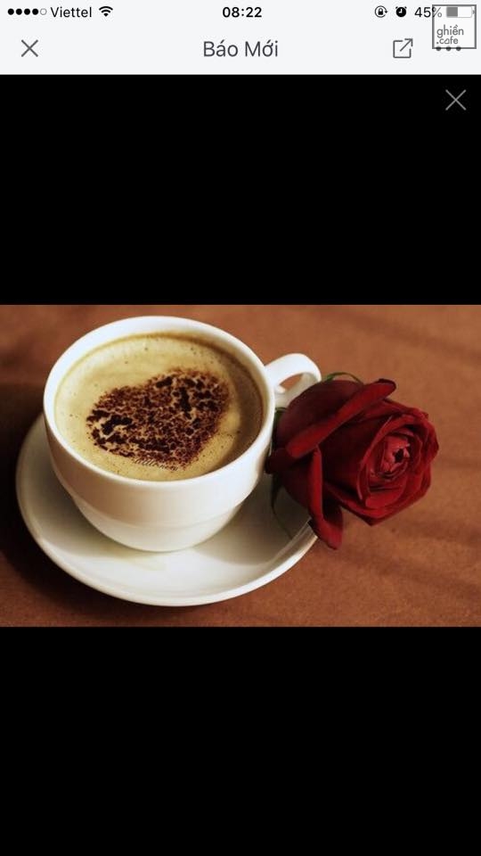 Báo Cafe - Nguyễn Phong Sắc