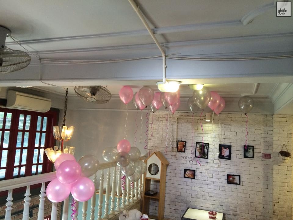 Bastet's Home Coffee - Trưng Nhị