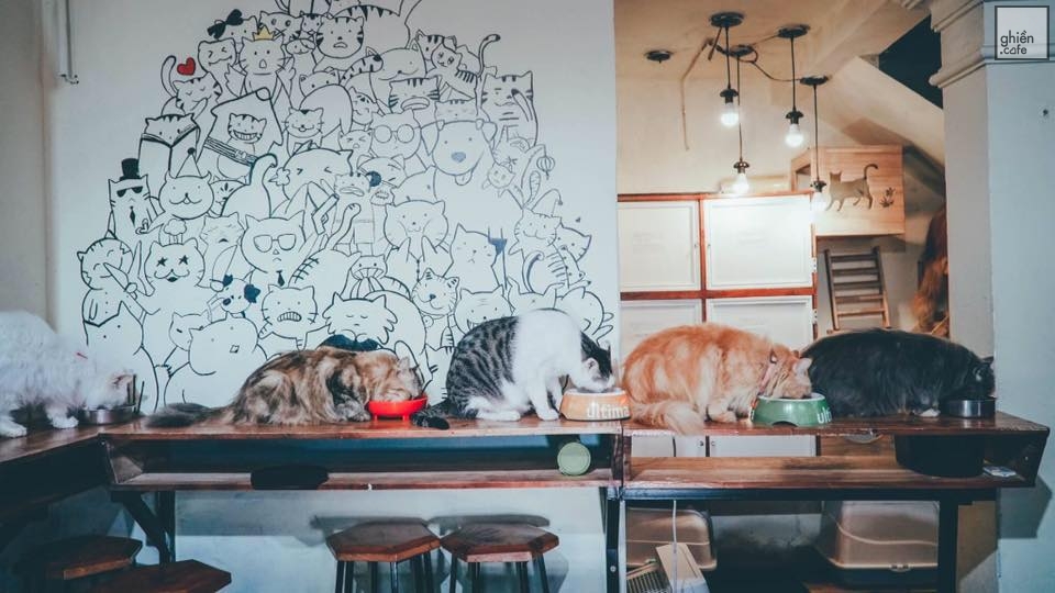 Bastet's Home Coffee - Trưng Nhị