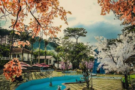 Bốn Mùa Cafe - Trần Hưng Đạo