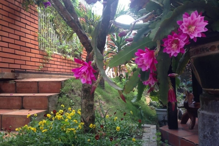 Cafe An Tiến - Lê Hồng Phong