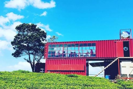 Cafe Đồi Chè Cầu Đất - Đà Lạt
