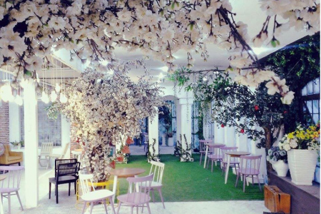 Rue Of Chic Cafe Phim Trường