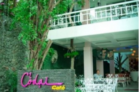 Cỏ Dại - Gò Dầu