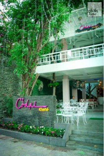 Cỏ Dại - Gò Dầu