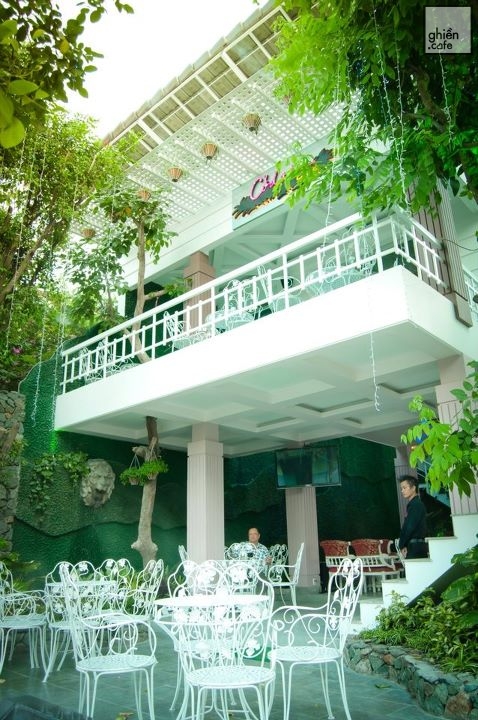 Cỏ Dại - Gò Dầu