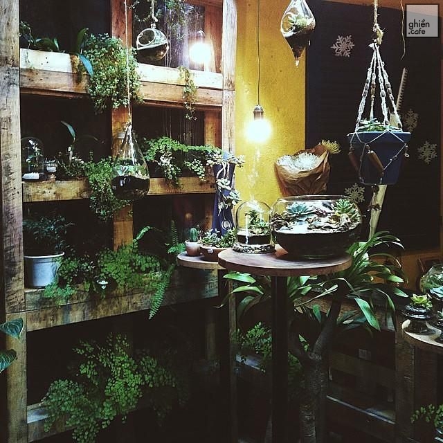 Green Oasis - Coffee & Workshop