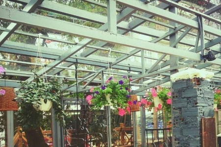 Alice Cafe - Cafe Hồ Bơi-Hùng Vương