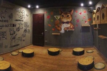Meow Coffee - Tây Sơn