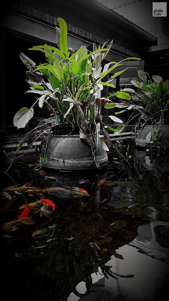 Mộc Hi-End Cafe - Hoa Mai