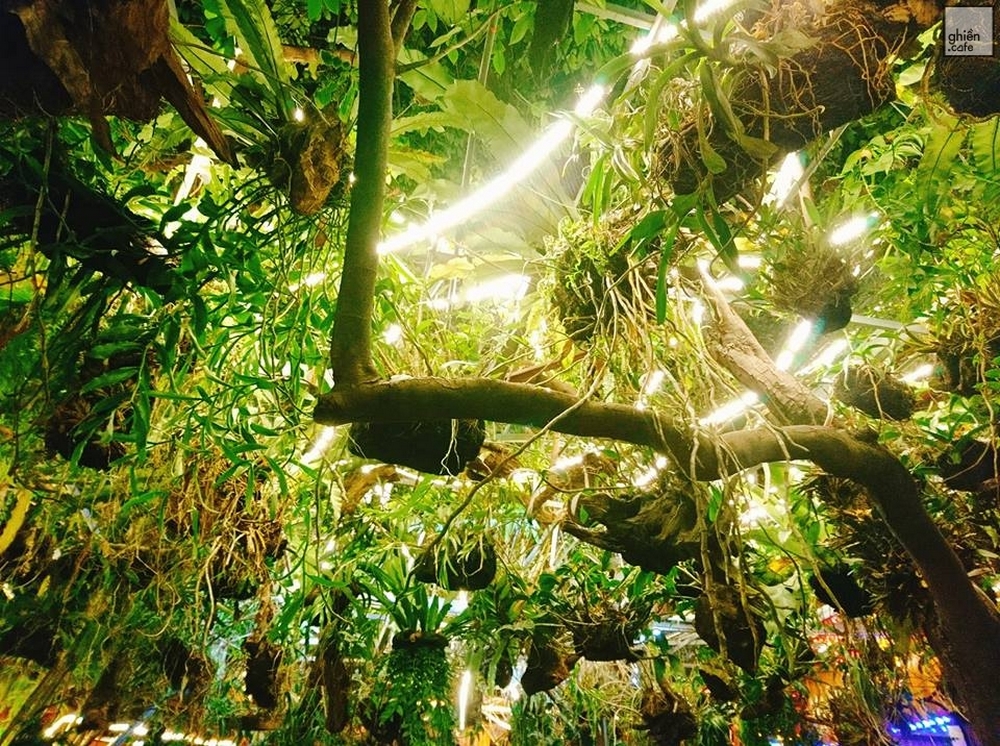 Mộc Quán Cafe - Sân Vườn