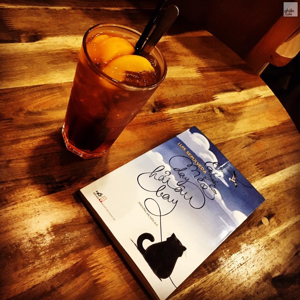 Moda House Coffee - Tô Ký