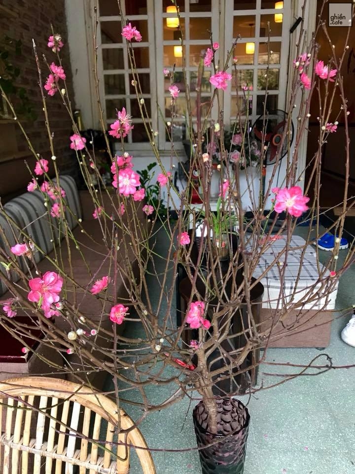 The0 Cafe - Đặng Văn Ngữ