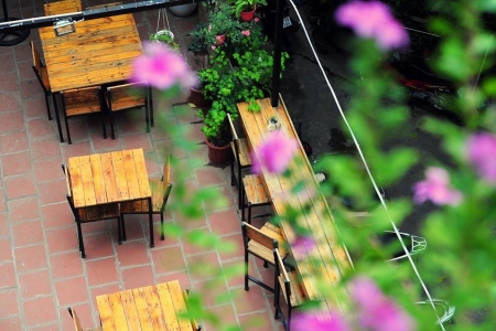 Tổ Chim Xanh - Bluebirds'Nest Book Cafe