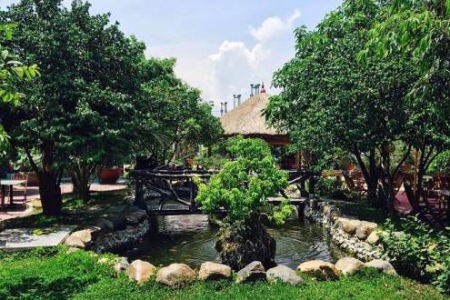 Tranh Quê Cafe - Côn Sơn
