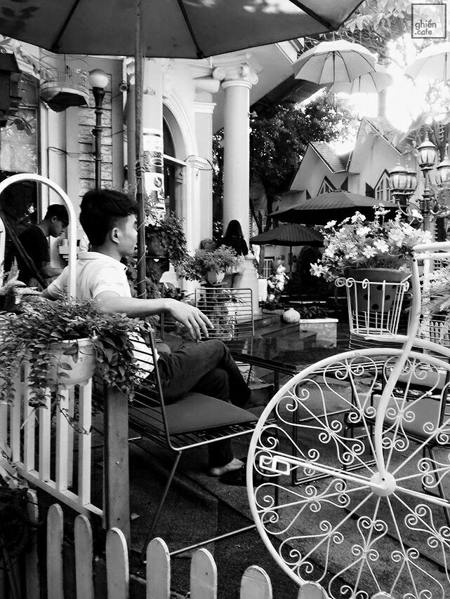 Venus Cafe - Nguyễn Văn Quá