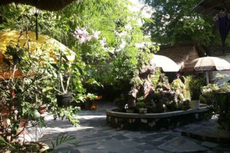 Vườn Cafe - Trần Phú