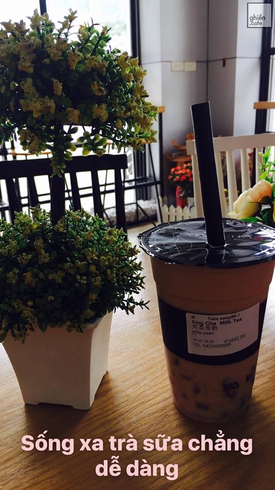 Xing Cha - Trung Kính