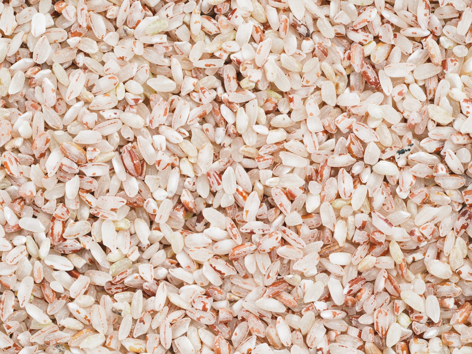 Exotic Rice Banner
