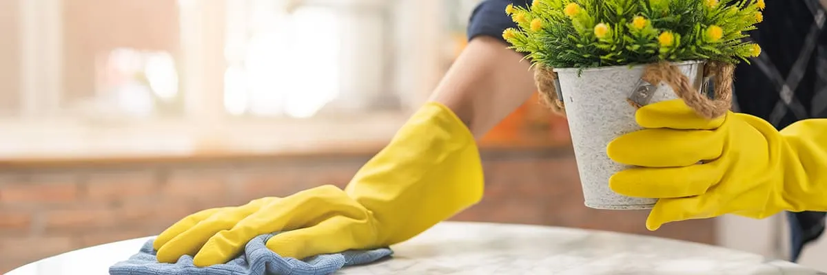 Organization or Office Cleaner