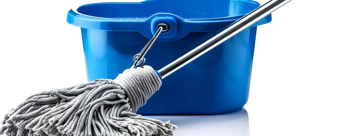 General House Cleaner