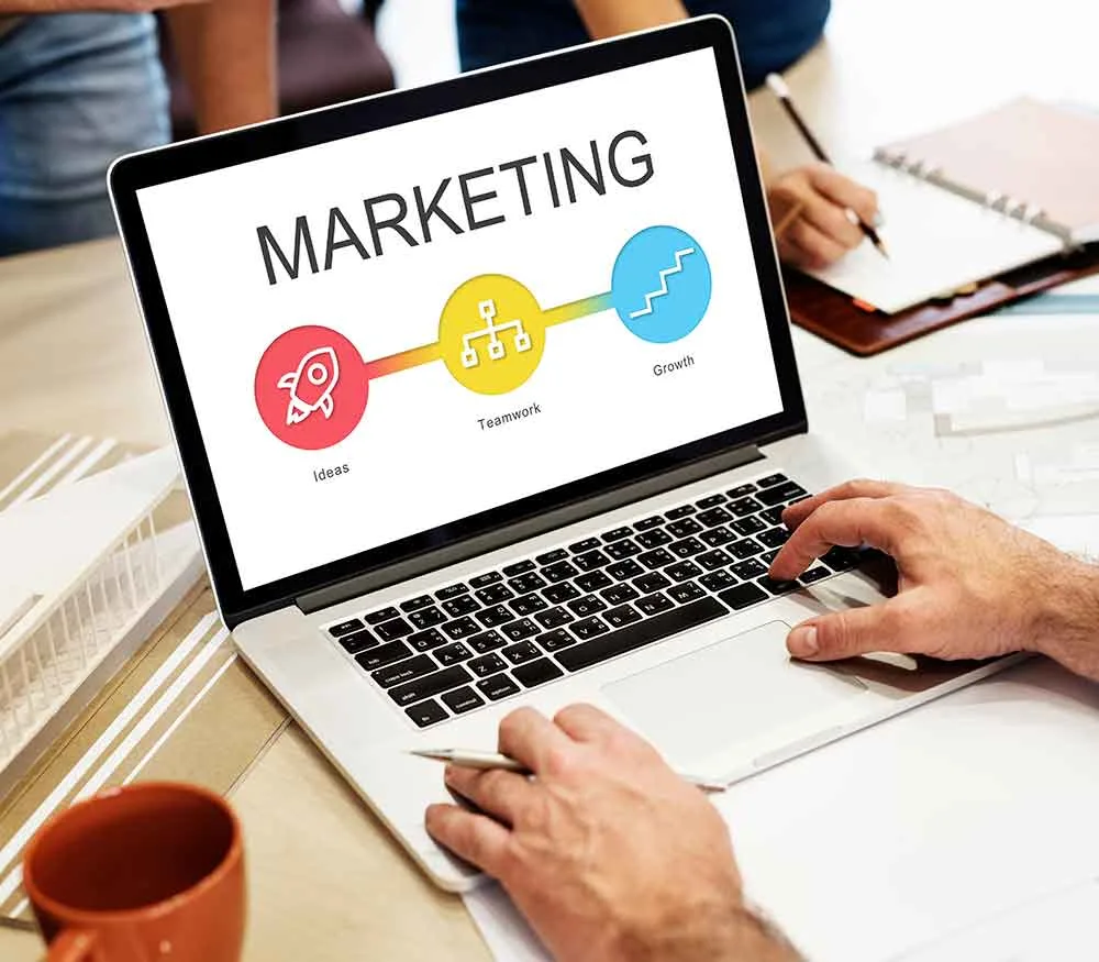 Digital Marketing Expert