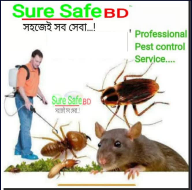 Pest Control Service