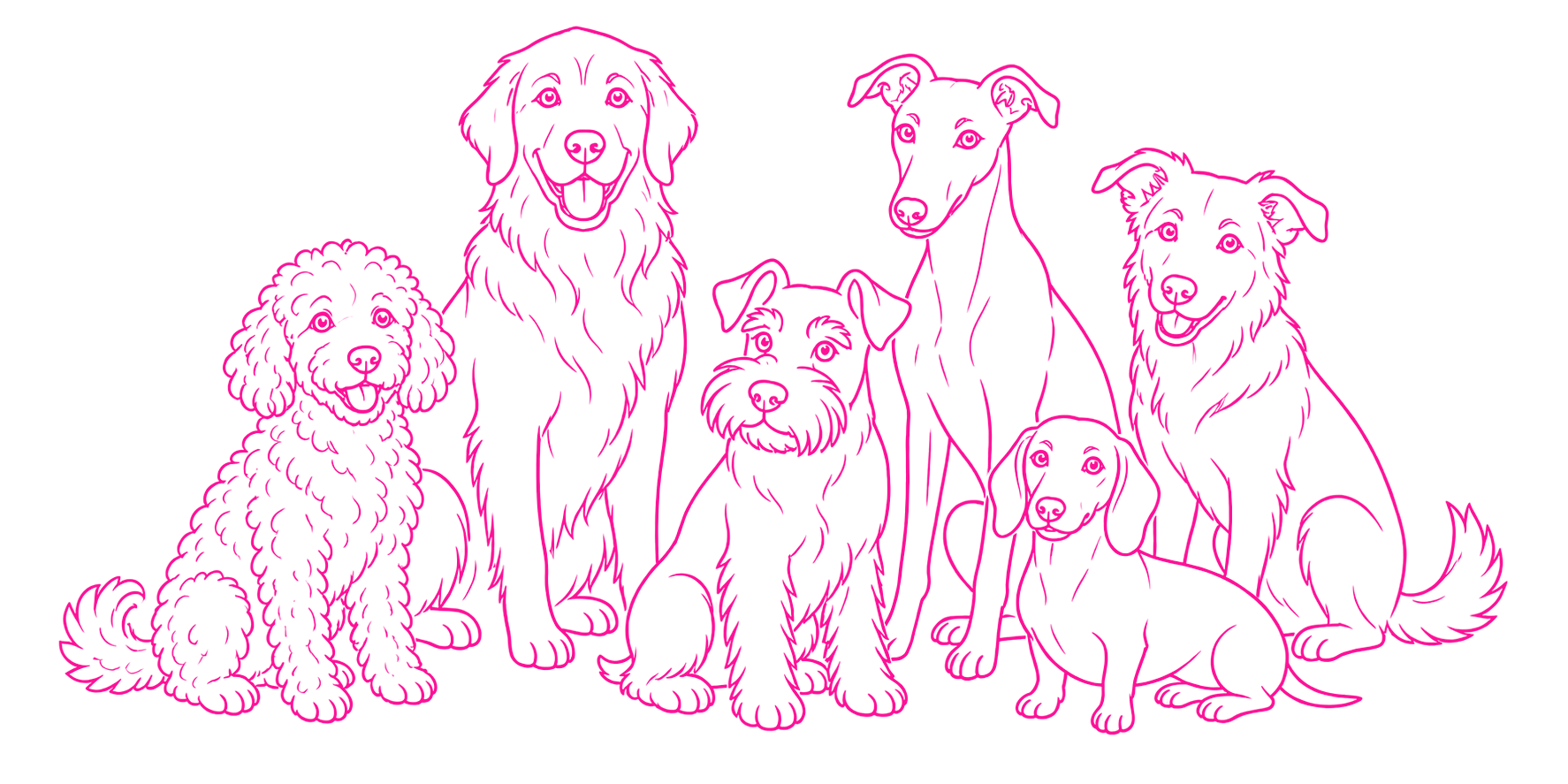 Malina with a group of dogs, representing the MalinaPatrol network