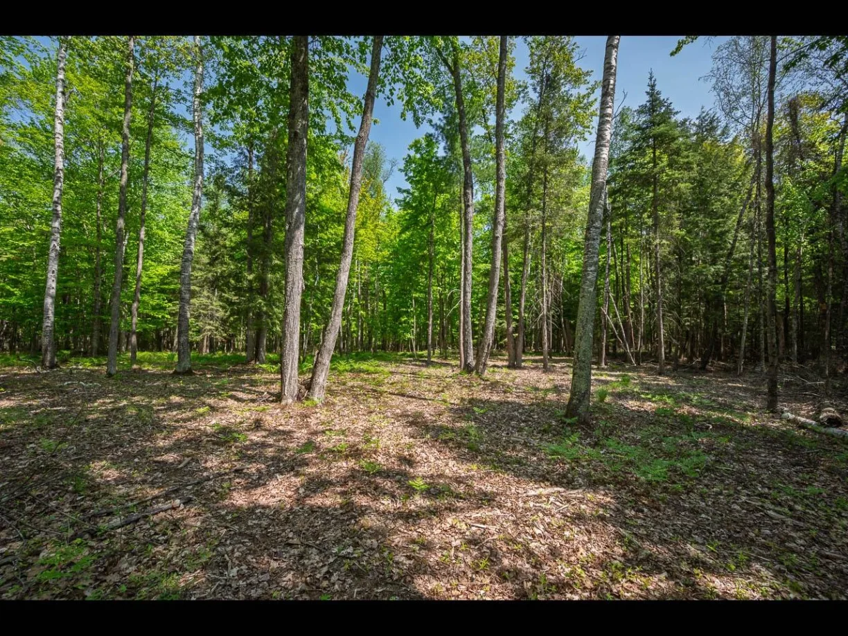 Picture 01 - Clearwater Lake Property 212685