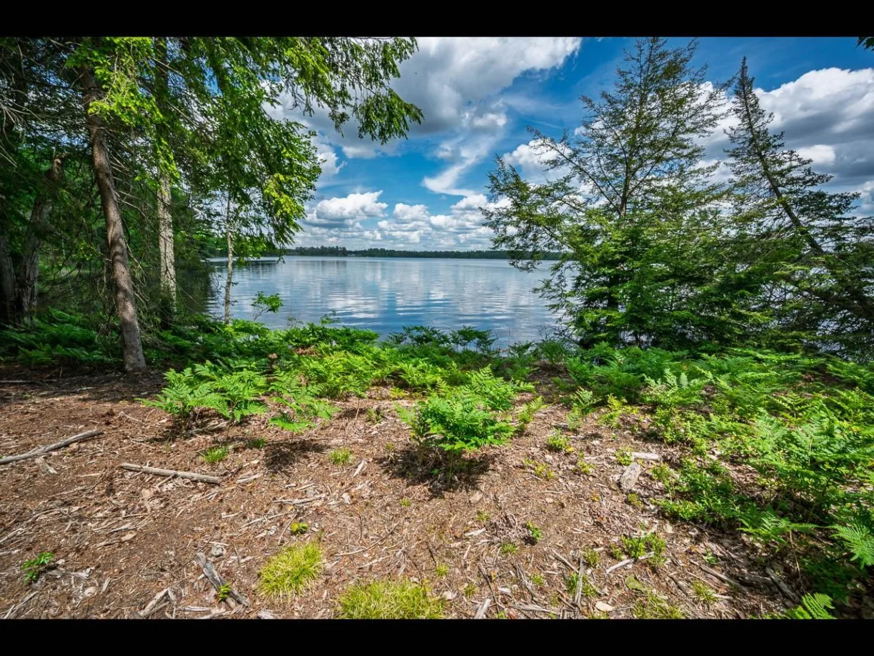 Clearwater Lake Property Lot 130 Clearwater Lake Tr Photo 2