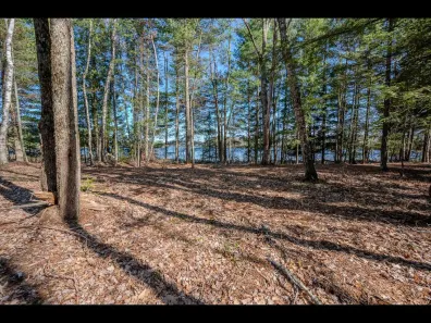 Clearwater Lake Property Lot 17 Memory Ln Photo 2