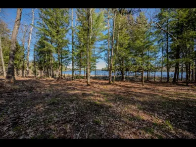 Clearwater Lake lot picture