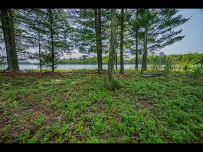 Clearwater Lake Property Lot 13 Memory Ln Photo 2