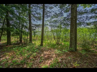 Clearwater Lake lot picture