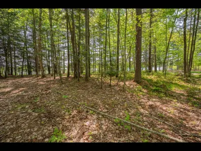 Clearwater Lake Property Lot 16 Memory Ln Photo 2