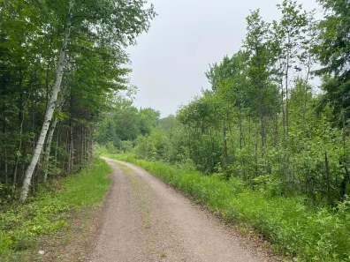 Oxbow Lake Property LOT Hiawatha Shores Rd Photo 2