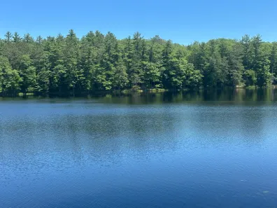 Corner Lake Property NEAR Long Lake Rd S Photo 2