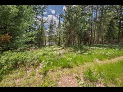 Clearwater Lake Property Lot 162 Clearwater Lake Tr Photo 2