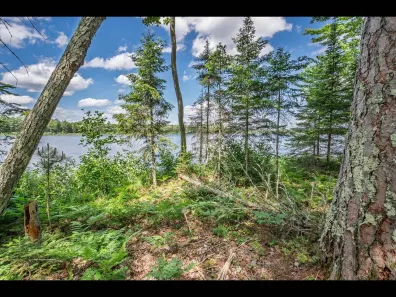 Clearwater Lake lot picture