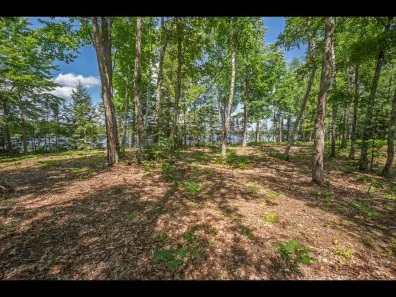 Clearwater Lake Property Lot 165 Clearwater Lake Tr Photo 2